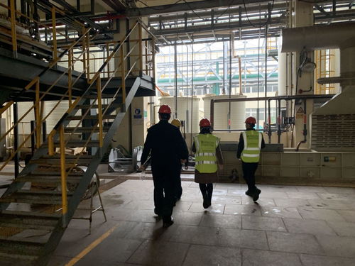 与安全同行，让安全常驻 宝曼咨询协助华友钴业开展现场EHS管理现状调研